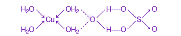 NEET 2019 Chemistry, Chemical Bonding and Molecular Structure — solution figure