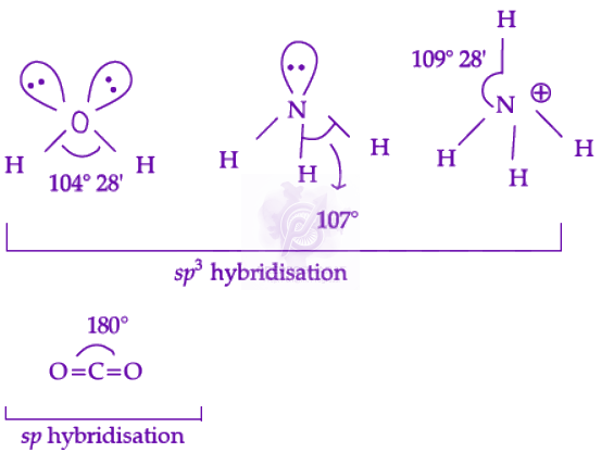 NEET 2022 Chemistry, Chemical Bonding and Molecular Structure — solution figure