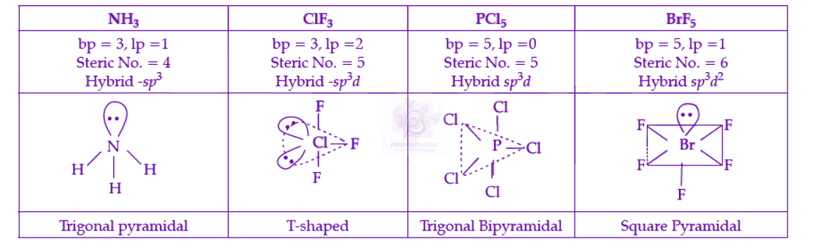 NEET 2022 Chemistry, Chemical Bonding and Molecular Structure — solution figure