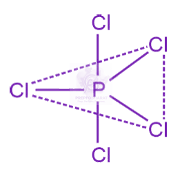 NEET 2024 Chemistry, Chemical Bonding and Molecular Structure — solution figure