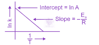 NEET 2024 Chemistry, Chemical Kinetics — solution figure