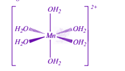 NEET 2004 Chemistry, Coordination Compounds — solution figure 2