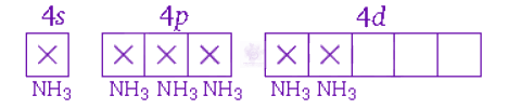 NEET 2009 Chemistry, Coordination Compounds — solution figure 2