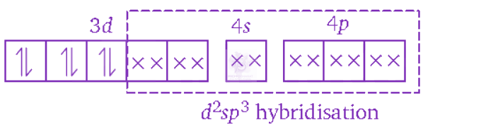 NEET 2011 Chemistry, Coordination Compounds — solution figure 4