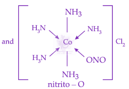 NEET 2022 Chemistry, Coordination Compounds — solution figure 2
