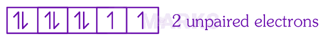 NEET 2025 Chemistry, Coordination Compounds — solution figure 2