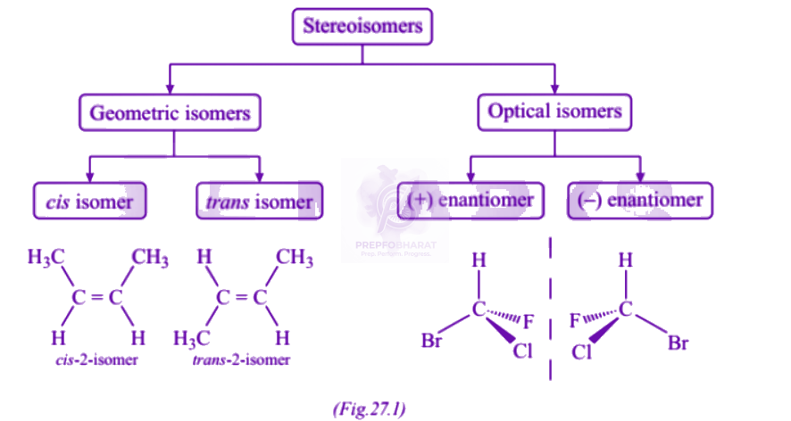 NEET 2005 Chemistry, General Organic Chemistry — solution figure