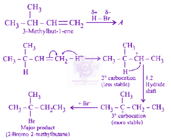 NEET 2008 Chemistry, General Organic Chemistry — solution figure