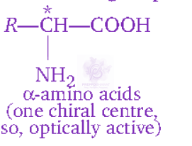 NEET 2012 Chemistry, General Organic Chemistry — solution figure 2