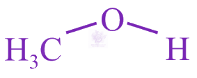 NEET 2019 Chemistry, General Organic Chemistry — option B figure