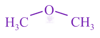 NEET 2019 Chemistry, General Organic Chemistry — option C figure