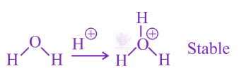 NEET 2019 Chemistry, General Organic Chemistry — solution figure 1