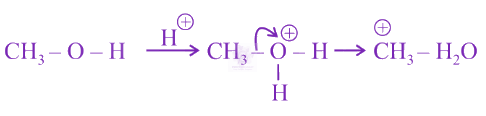 NEET 2019 Chemistry, General Organic Chemistry — solution figure 2