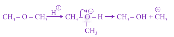 NEET 2019 Chemistry, General Organic Chemistry — solution figure 3