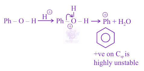 NEET 2019 Chemistry, General Organic Chemistry — solution figure 4