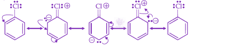 NEET 2022 Chemistry, General Organic Chemistry — solution figure