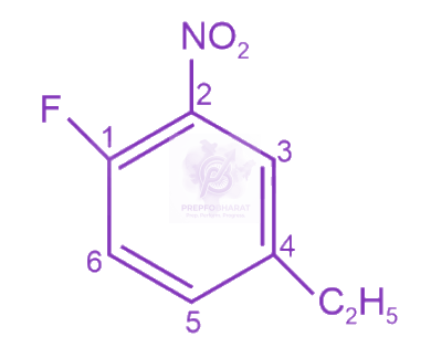 NEET 2024 Chemistry, General Organic Chemistry — solution figure