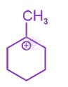 NEET 2024 Chemistry, General Organic Chemistry — option C figure