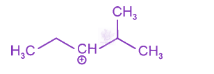 NEET 2024 Chemistry, General Organic Chemistry — option D figure