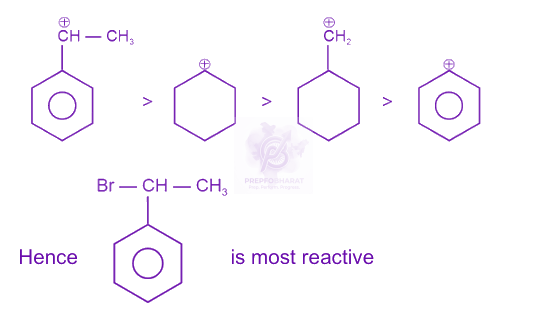 NEET 2024 Chemistry, Haloalkanes and Haloarenes — solution figure