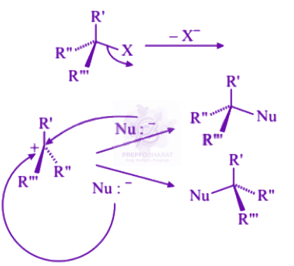 NEET 2004 Chemistry, Hydrocarbons — solution figure 2