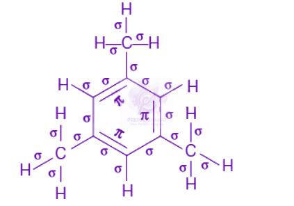 NEET 2019 Chemistry, Hydrocarbons — solution figure 2