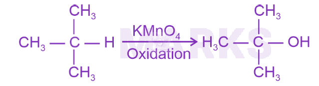 NEET 2024 Chemistry, Hydrocarbons — solution figure