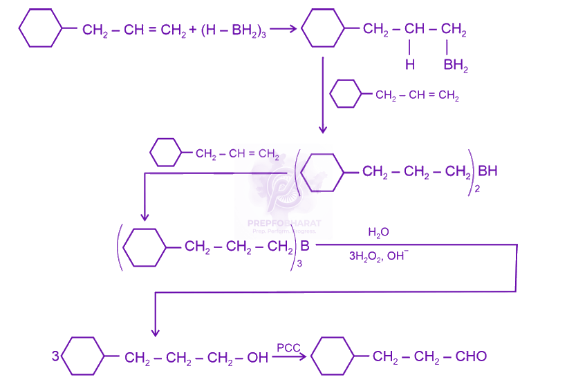 NEET 2024 Chemistry, Hydrocarbons — solution figure 2
