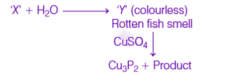 NEET 2019 Chemistry, p Block Elements (Group 15, 16, 17 and 18) — solution figure