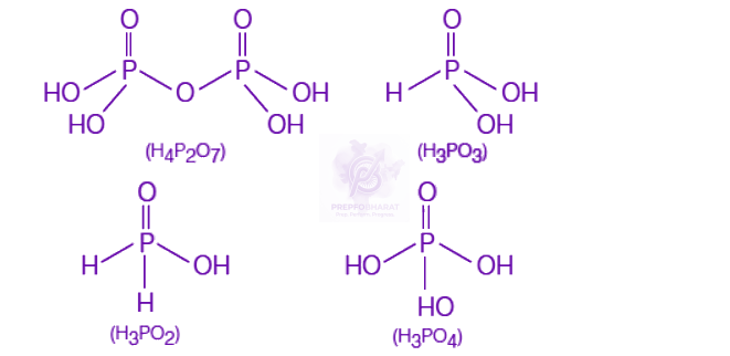 NEET 2019 Chemistry, p Block Elements (Group 15, 16, 17 and 18) — solution figure