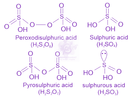 NEET 2023 Chemistry, p Block Elements (Group 15, 16, 17 and 18) — solution figure