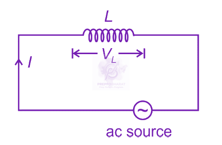 NEET 2024 Physics, Alternating Current — question figure