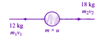 NEET 2005 Physics, Center of Mass Momentum and Collision — solution figure