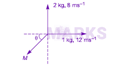 NEET 2009 Physics, Center of Mass Momentum and Collision — solution figure