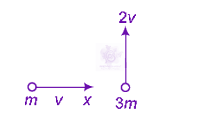 NEET 2011 Physics, Center of Mass Momentum and Collision — solution figure