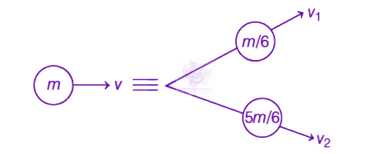NEET 2019 Physics, Center of Mass Momentum and Collision — solution figure