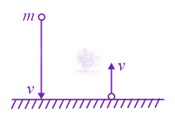 NEET 2021 Physics, Center of Mass Momentum and Collision — solution figure