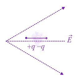 NEET 2021 Physics, Electrostatics — question figure