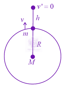 NEET 2021 Physics, Gravitation — solution figure