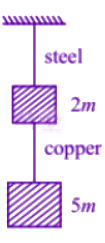 NEET 2013 Physics, Laws of Motion — question figure