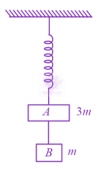 NEET 2017 Physics, Laws of Motion — question figure