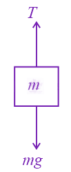 NEET 2017 Physics, Laws of Motion — solution figure 2