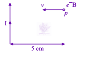 NEET 2013 Physics, Magnetic Effects of Current — solution figure
