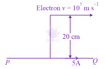 NEET 2021 Physics, Magnetic Effects of Current — question figure