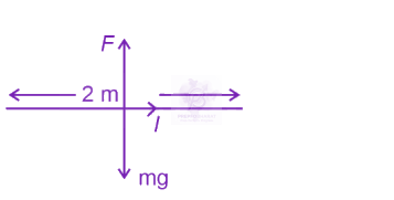NEET 2023 Physics, Magnetic Effects of Current — solution figure