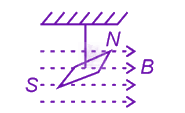 NEET 2024 Physics, Magnetic Effects of Current — question figure