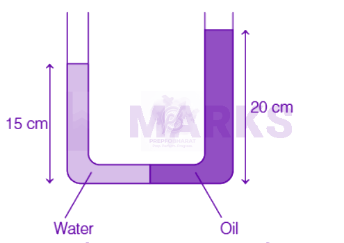 NEET 2019 Physics, Mechanical Properties of Fluids — question figure