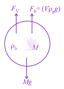 NEET 2021 Physics, Mechanical Properties of Fluids — solution figure