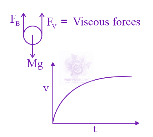 NEET 2022 Physics, Mechanical Properties of Fluids — solution figure