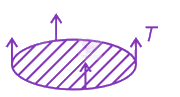 NEET 2024 Physics, Mechanical Properties of Fluids — solution figure